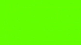 Solid Bright Green Background Image Pictures Becuo