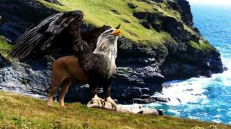 Creatures Griffin Photomanipulation Wallpaper