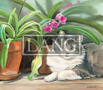 Cats In The Country Desktop Wallpaper Calendars