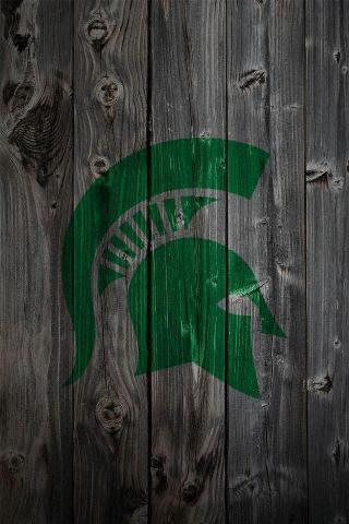 Michigan State Wallpaper Msu Spartans Field Hockey