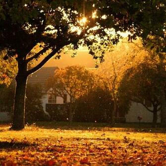 New Zealand Autumn iPad Wallpaper