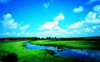 Beautiful Nature Photography