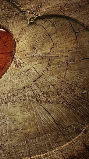 Wood Heart Surface Rt Wallpaper