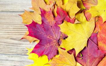 HD Autumn Wallpaper 4k For Desktop We