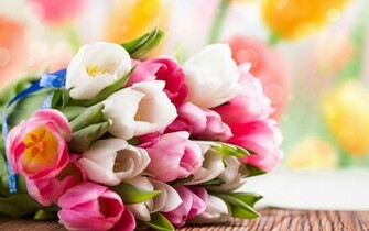 Colorful Flowers Beautiful Wallpaper For Desktop To Make Cool