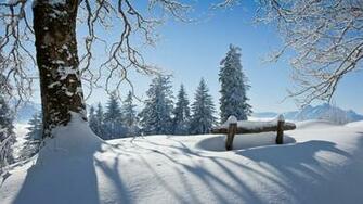 Winter Desktop Wallpaper HD Jpg