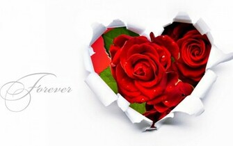 Flowers Roses