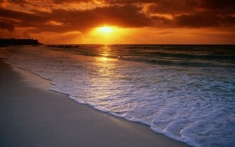 Animals Zoo Park Sunset Beach Wallpaper Sunrise