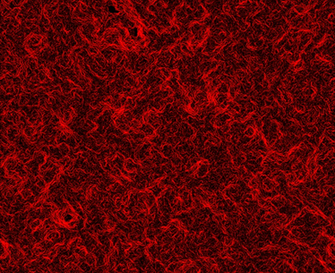 Deep Red Background By Ramzonz