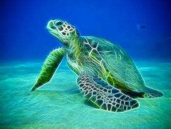 Water Ocean Wallpaper Wallpoper