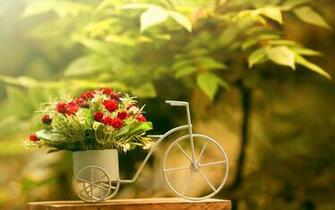 Beautifull 4k Wallapaper Flowers In HD Desktop Background