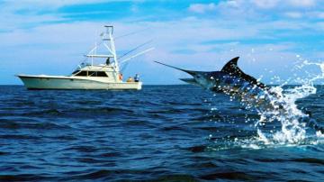 Saltwater Fishing Wallpaper High Definition