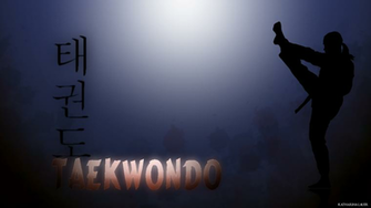 The Gallery For Gt Tkd Wallpaper
