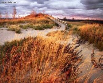Nature Michigan Sleeping Bear Dunes Boardwalk Picture Nr