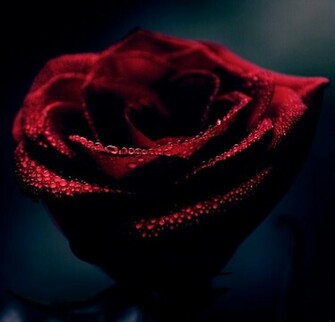 Blood Red Wallpaper