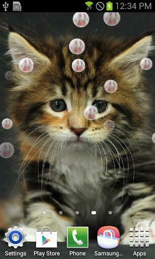 Bigger Q Cat Live Wallpaper For Android Screenshot