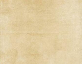 Displaying Image For Light Tan Background