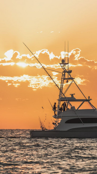 Fishing Wallpaper Background Ah360 Photography Fish