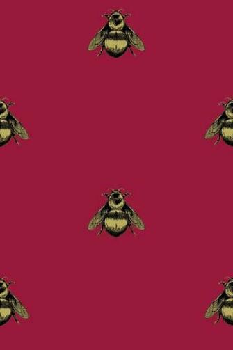 Timorous Beasties Napoleon Bee Wallpaper Ideas Designs Living