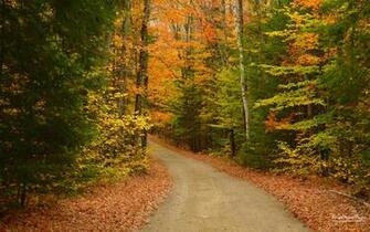 Top Autumn Road Wallpaper