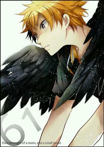 Hinata Shouyou Haikyuu High Kyuu Photo