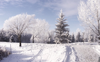 Winter Season Wallpaper
