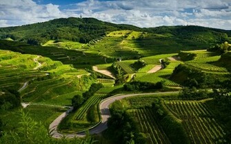 Countryside Wallpaper