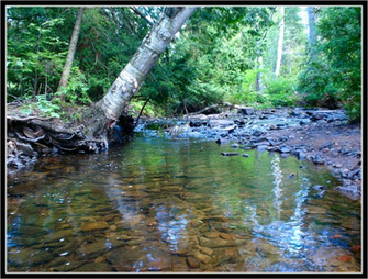Serene Trout Stream By Foreverlong926