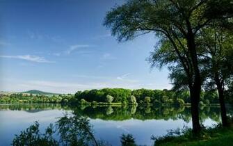 Landscapes Nature Wallpaper Trees
