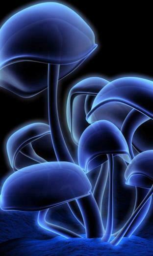 Animated Wallpaper For Nokia Lumia E Entertainment