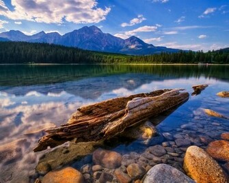 Magnificent Summer Scenery HD Wallpaper Widescreen