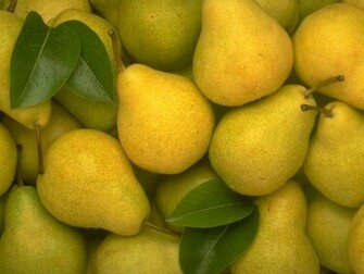 7art Screensavers Juicy Fruits Screensaver Fresh In Amazing