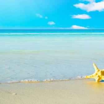 Wallpaper Summer Flower Beach Background For Your Desktop