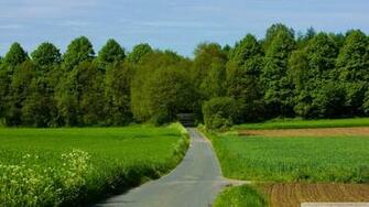 Summer Landscape Wallpaper