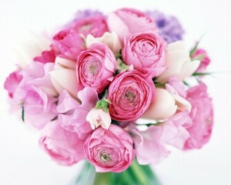 From Peony Flower Wallpaper
