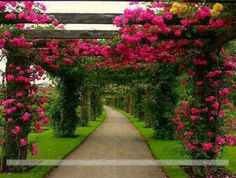 Beautiful Flower Garden