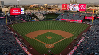 Miss Baseball Zoom With A Virtual Background Of Your Favorite