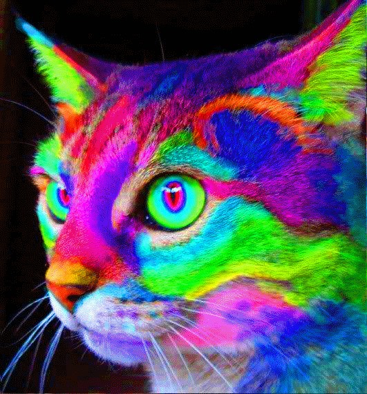 Trippy Psychedelic Gifs Gallery