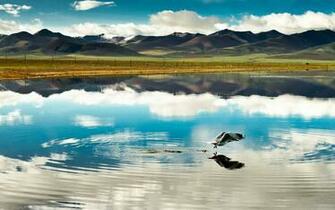 Pics Photos Tibet Wallpaper