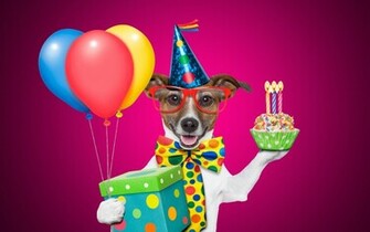 Happy BirtHDay Wishes Funny Wallpaper Beautiful HD