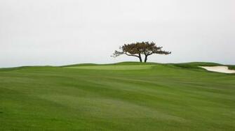 Background Pictures Vidzshare Net Pebble Beach Golf Wallpaper