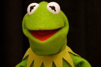 Kermit The Frog Funny Face