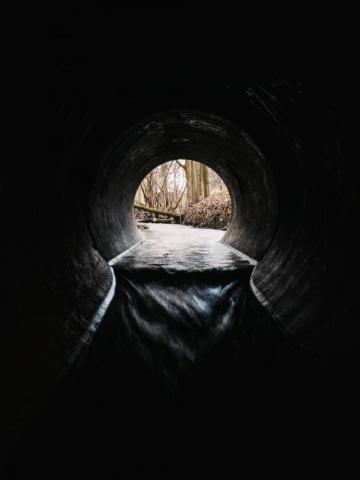 Tunnel With During Daytime Photo Sycamore Image On