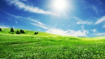 Apple Grass Wallpaper