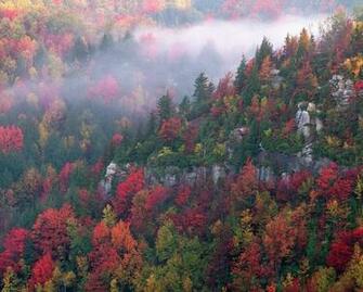 Blackwater Canyon West Virginia Wallpaper