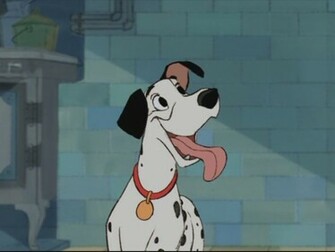 Dalmatians Image