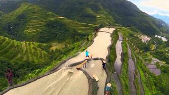 Philippines Rice Wallpaper Top