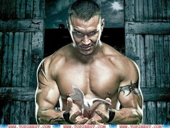 Randy Orton HD Wallpaper Txwallpaper