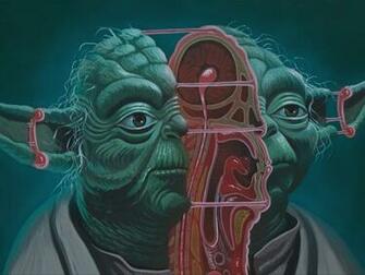 Austrian Street Artist Nychos Is Coming To Australia Concrete