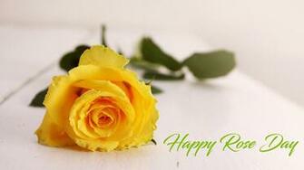 Yellow Rose Day Image For Friendship Love Quotes